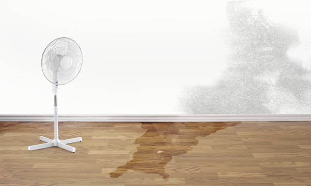 Best 24-hour water damage restoration  in Stone Park, IL